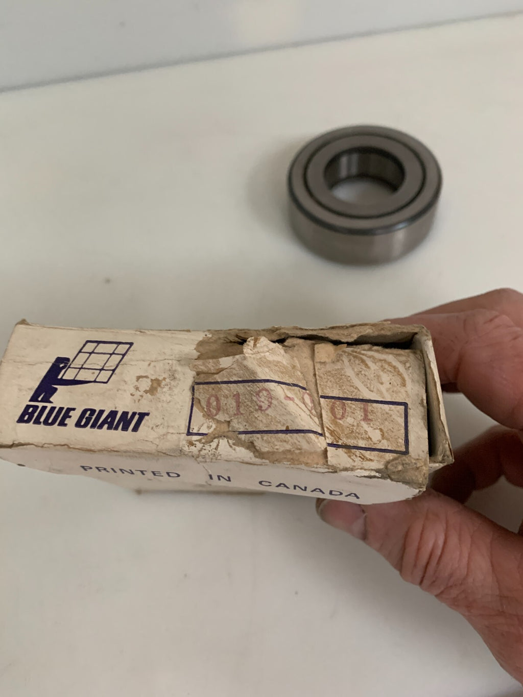 BLEU GIANT ROLLER BEARING 019-001