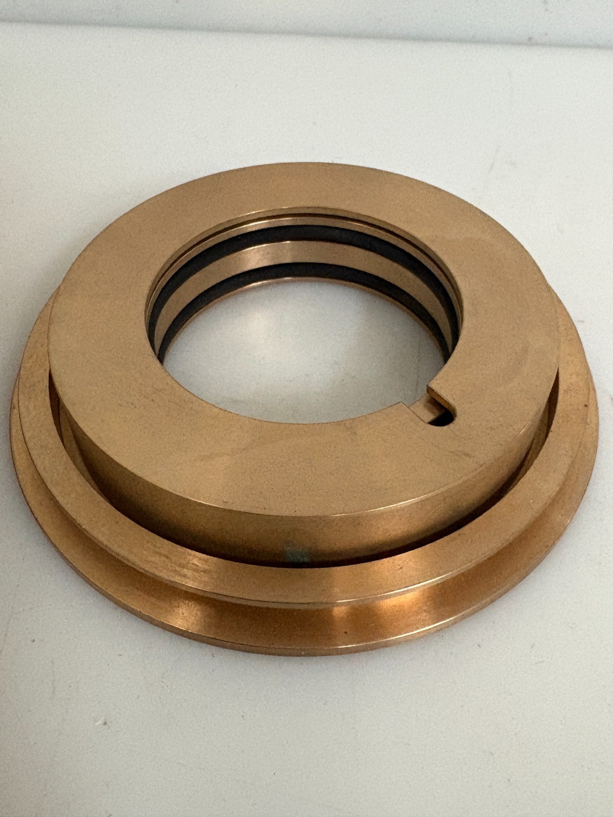 BLACKMER PUMP OIL SEAL #0983731