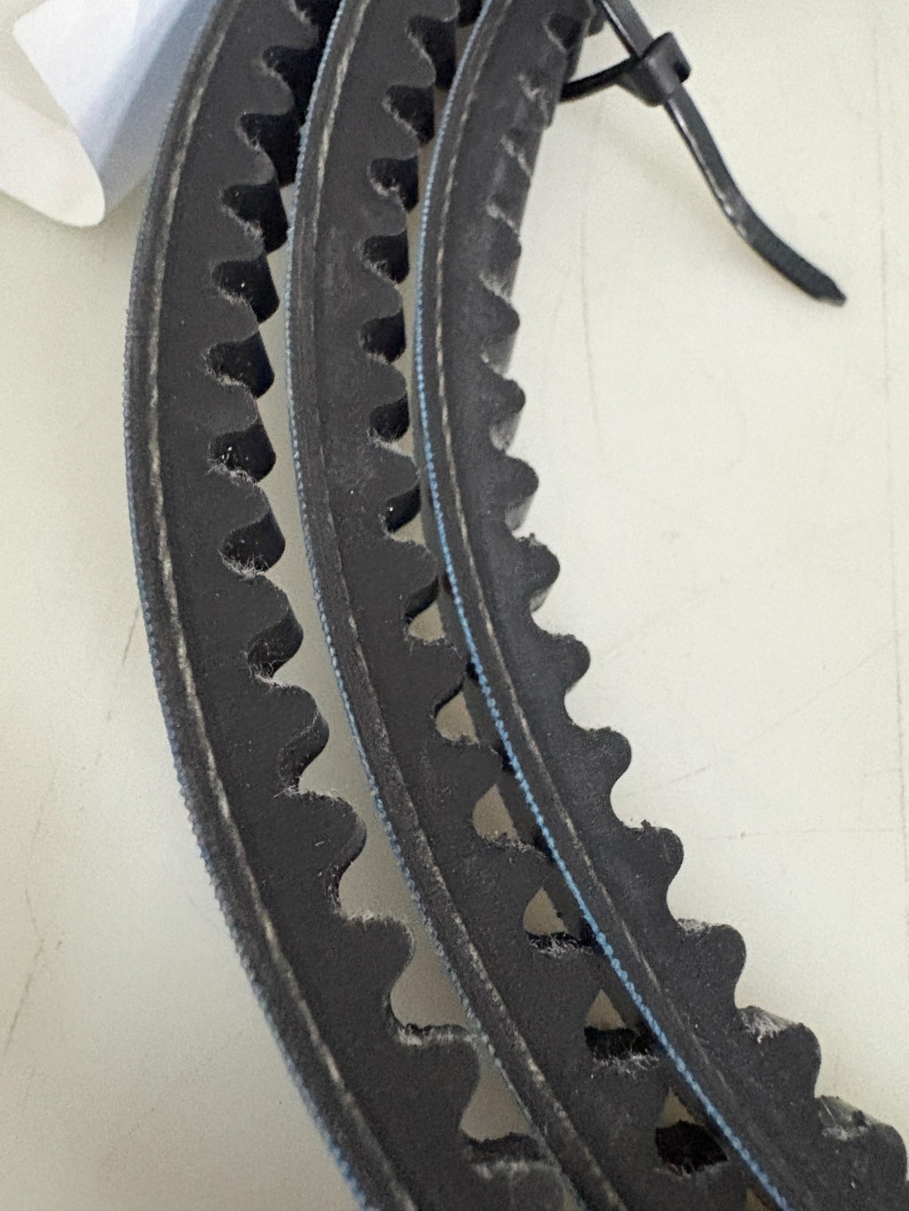 AERZEN V BELT #2000054427 1