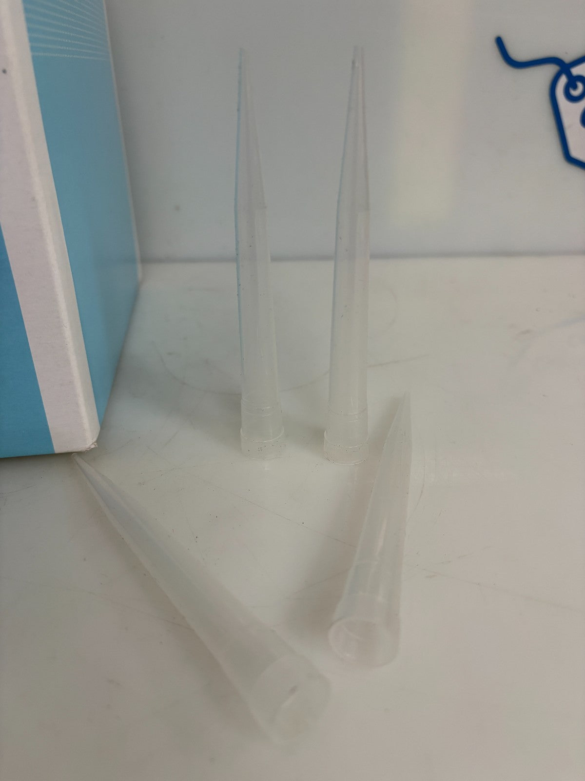 EPPENDORF EP TIPS .25-2.5ML 500/BOX1