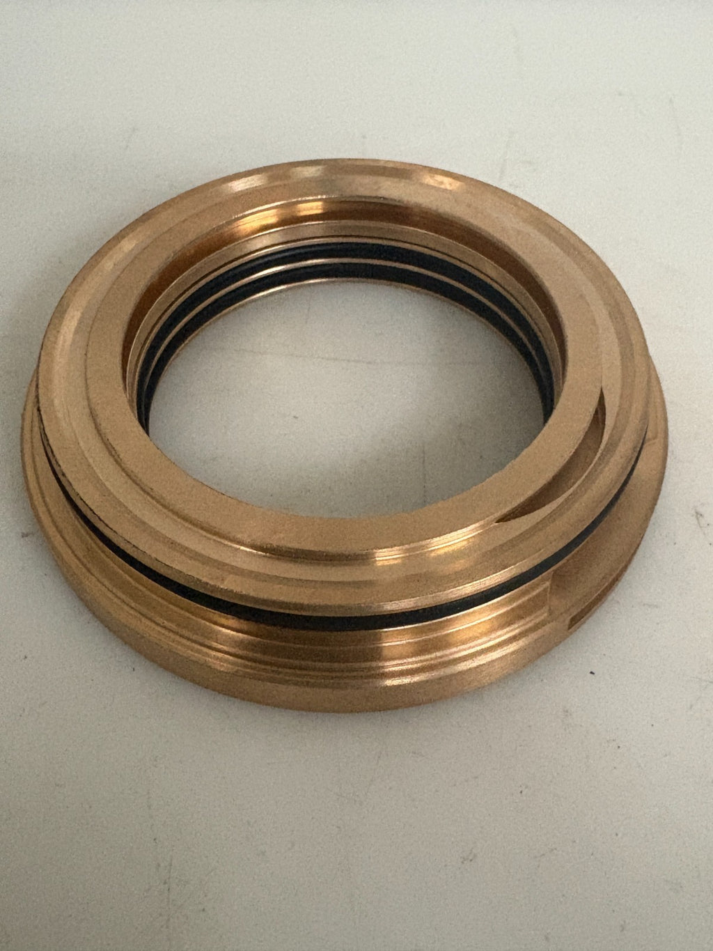 LABTECTA AESSEAL ISOLATOR SEAL L1M050PP-001-M070