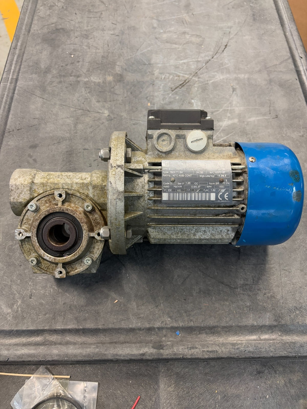 M.G.M. MOTORI INDUCTION MOTOR W/GEAR BOX SMX 71 B4 W/GEAR BOX