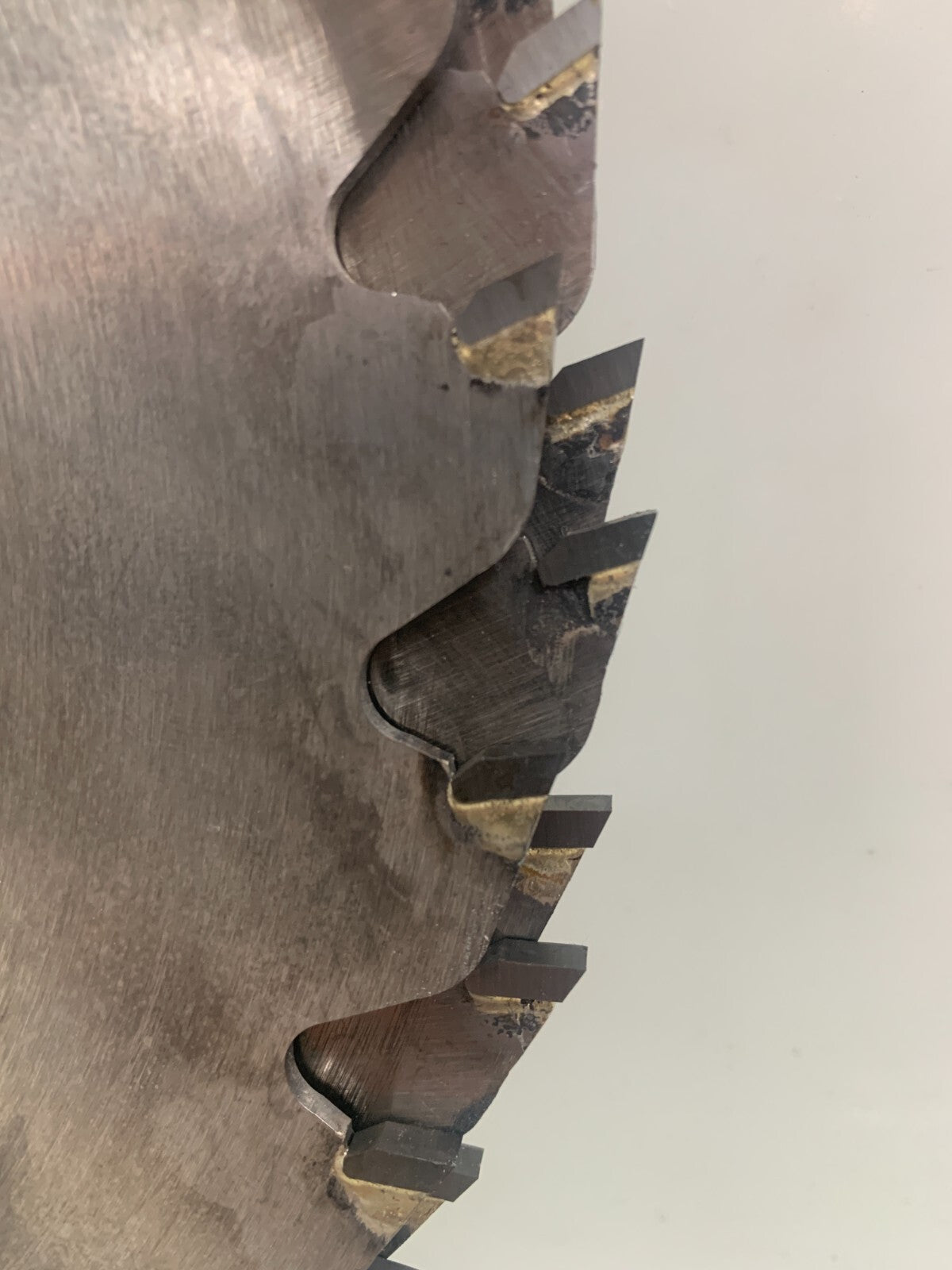 Professional 11.5'' Saw Blades  S5969   1014745  (Lot of 6)