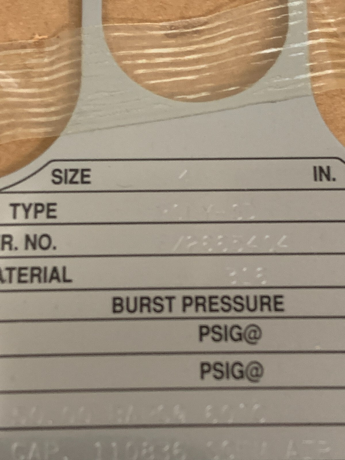 FIKE 4" RUPTURE DISC POLY-SD 316 50 BAR4