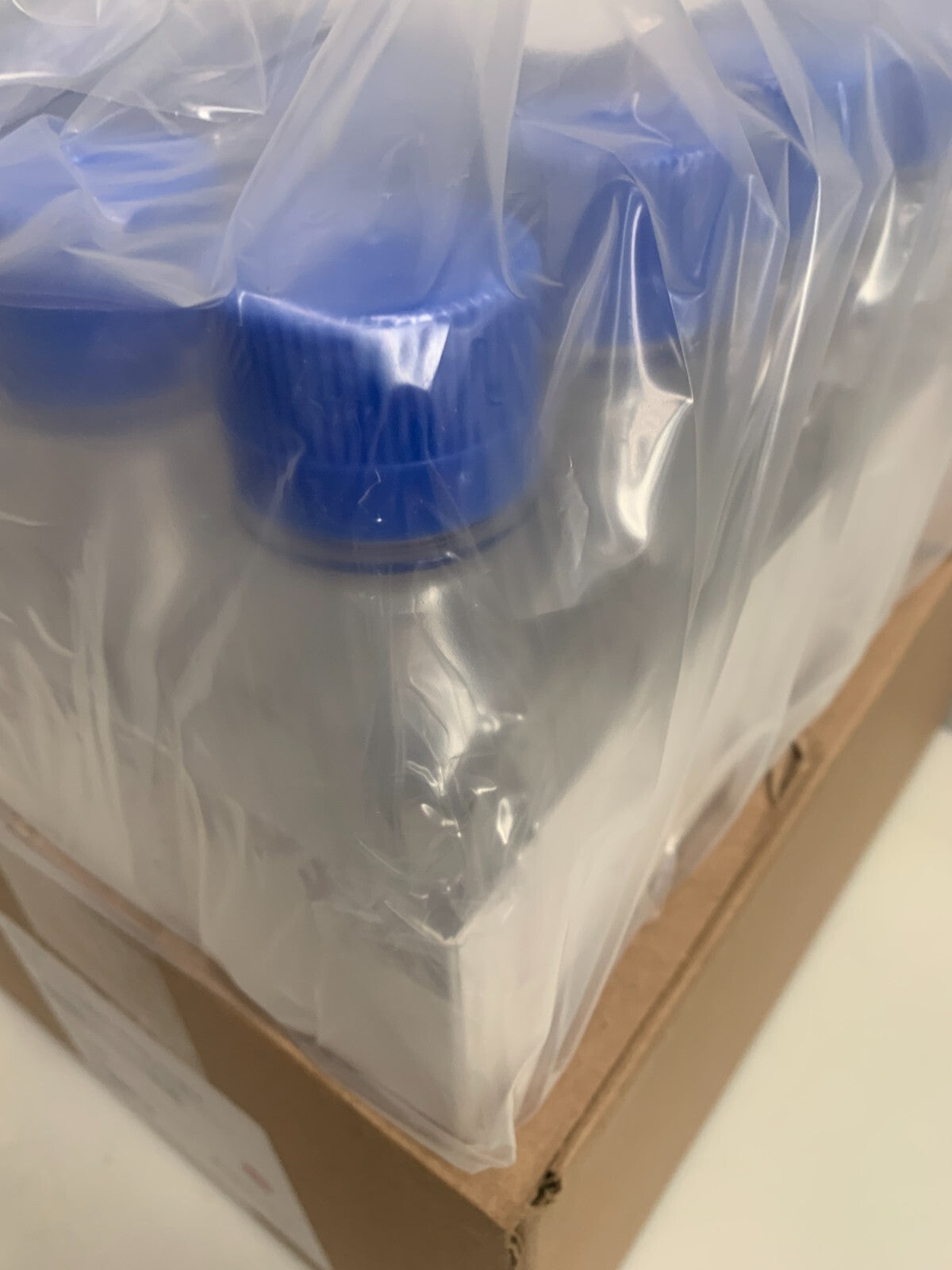 FISHERBRAND FBMB250A 250mL Sterile PETG Media Bottles 24/cs