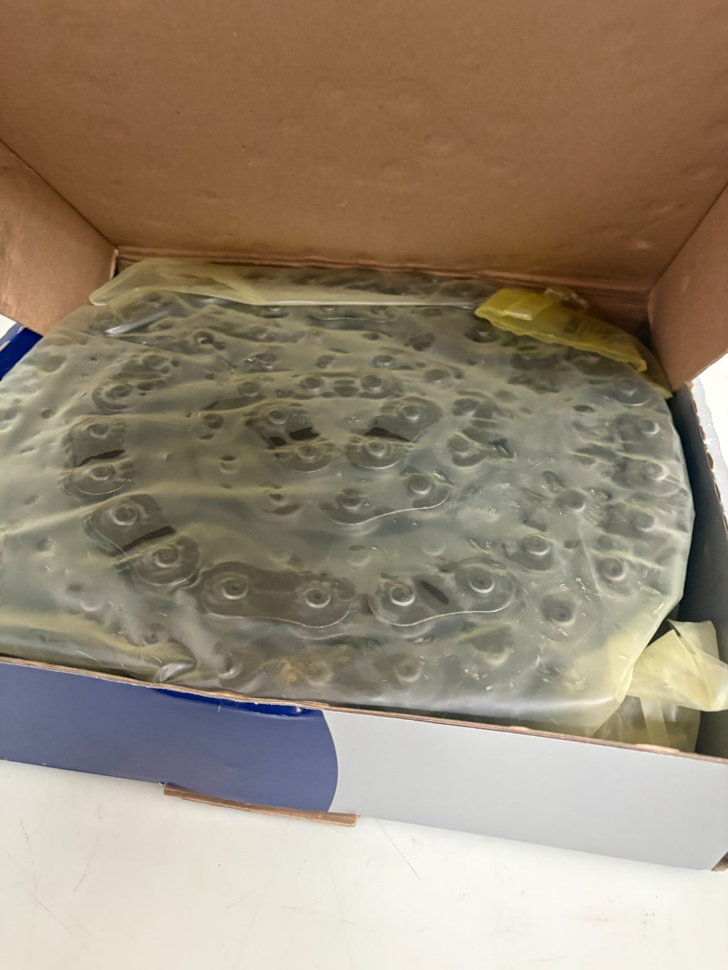 RENOLD DOUBLE 1 1/4" ROLLER CHAIN #100-2C2