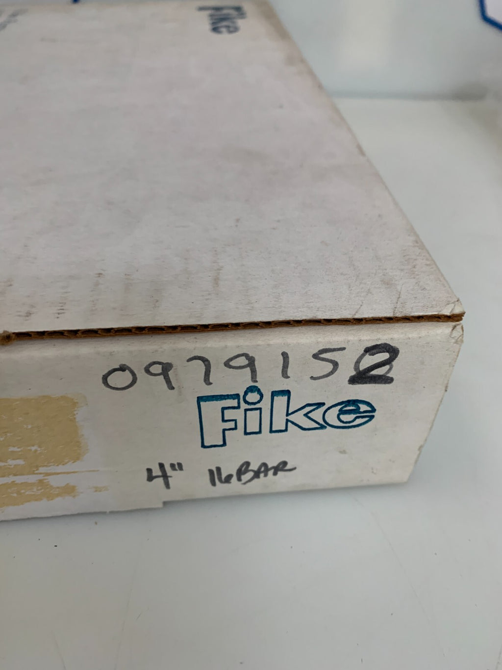 FIKE 4" RUPTURE DISC POLY-SD 316 16 BAR2