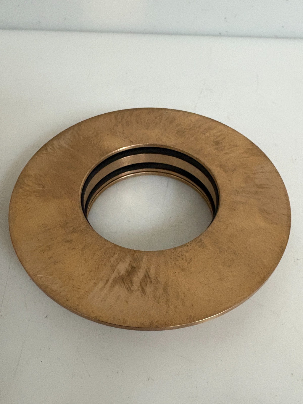 BLACKMER PUMP OIL SEAL #098373